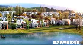 德陽(yáng)市公眾信息網(wǎng) 數(shù)字化服務(wù)與網(wǎng)絡(luò)科技融合的典范