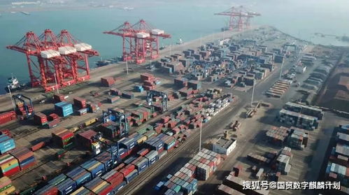 跨境電商“新半場(chǎng)”跑出加速度 政策與AI挑戰(zhàn)奏響發(fā)展“奏鳴曲”